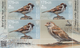 Kyrgyzstan 2023 The House Sparrow Bird Of The Year Block Of 3 Stamps And Label MNH - Spatzen