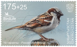 Kyrgyzstan 2023 The House Sparrow Bird Of The Year Stamp MNH - Sparrows