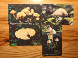 Phonecard Set Jersey 71JERA-D - Mushroom - Jersey E Guernsey