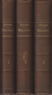 Blücher. Seine Zeit Und Sein Leben. Zehn Bände In Drei Abtheilungen. (10 Bände In 3 Büchern) - Alte Bücher