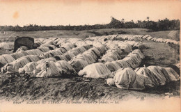 ALGERIE - Scènes Et Types - La Grande Prière (3ème Phase) - LL - Animé - Carte Postale Ancienne - Scene & Tipi