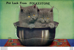 FOLKESTONE  CARTE A SYSTEME - Folkestone