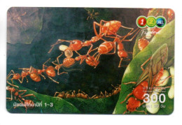 Fourmi Fourmis Insecte Carte Prépayée Thaïlande  Card ( S 1000) - Tailandia