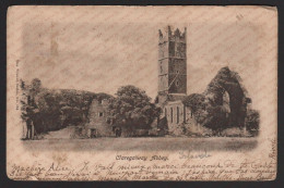 CPA Postcard Claregalway Abbey Ireland Irlande Postmarked 1904 Sent To Paris From Ventnor - Galway