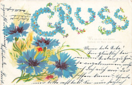 FANTAISIES - Gruss - Fleurs - Carte Postale Ancienne - Otros & Sin Clasificación