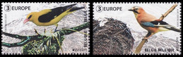 4859/4860**(BL278) - EUROPA - Oiseaux Nationaux / Nationale Vogels / Nationale Vögel / National Birds - EUROPE - Neufs