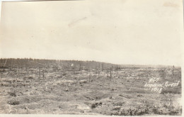 Photo 1918 La Forêt D'Argonne Dévastée, Le Champ De Bataille (A253, Ww1, Wk 1) - Other & Unclassified