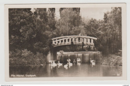 Höchst Stadtpark Pont Ou Passerelle Oiseaux Cygnes VOIR DOS - Hoechst