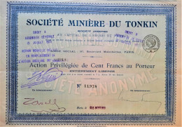 Société Minière Du Tonkin - 1919 - Action Priviligiée De 100 Francs Au Porteur - Paris - Mines