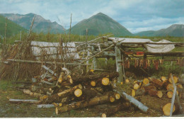 Kiukshu, Yukon Territory, Camp Near Hainrs Junction, Alaska Indian Summer Home And A Salmon Drying Rack - Yukon