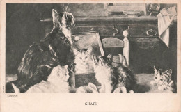 ANIMAUX - Chats - Miroir Brisé - Lambert - Carte Postale Ancienne - Cats