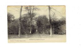 Cpa - 78 - Magnanville - Mantes -- Allée D'arbres -  G. W. Lemaire - Magnanville