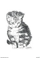 Art & Antiquités > Tableaux > Le Chaton  Dessin Encre Original Encadré De Bernard Le Beguec - Dessins