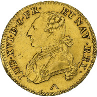 France, Louis XVI, Double Louis D'or Au Buste Habillé, 1776, Lille, Or, SUP - 1774-1791 Ludwig XVI.