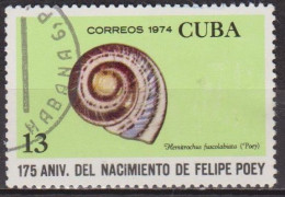 Coquillage - CUBA - N° 1772 - 1974 - Usati