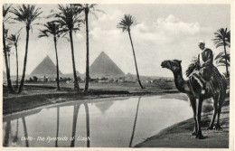 CAIRO - THE PYRAMIDS OF GIZEH - Gizeh