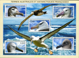 199258 MNH ANTARTIDA FRANCESA 2007 AVES MARINAS - Ungebraucht