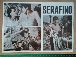 Prog 40 - Serafino (1968) - Adriano Celentano, Ottavia Piccolo, Saro Urzì - Publicité Cinématographique