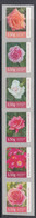 2017 Luxembourg Roses Fleurs Complete Set Of 6 MNH @ BELOW FACE VALUE - Nuovi
