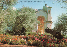 PALESTINE - Jerusalem - Garden Of Gethsemane - Carte Postale - Palestine