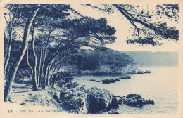 FRANCE - Toulon - Vue Sur Magaud - Carte Postale Ancienne - Toulon