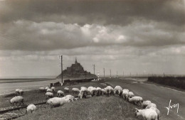 FRANCE - Le Mont Saint Michel - Les Moutons De Prés Salés - Carte Postale - Le Mont Saint Michel