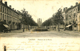 Belgique - Brussel - Bruxelles - Laeken - Avenue De La Reine - Laeken