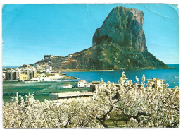 VISTA DEL PEÑON DE IFACH / VIEW OF THE " PEÑON DE IFACH.- CALPE / COSTA BLANCA.- ( ALICANTE ) - Alicante