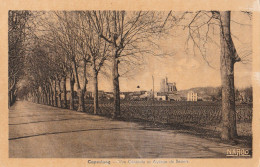 CPA 34 CAPESTANG AVENUE DE BEZIERS VUE GENERALE - Capestang