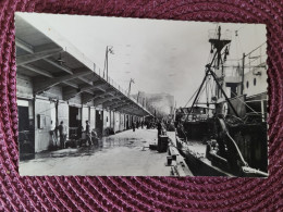 Lorient , Port De Pêche La Criée - Lorient