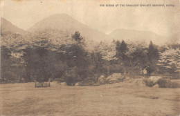 CPA JAPON / THE SCENE AT THE SANSUIEN PRIVATE GARDEN BEPPU - Other & Unclassified