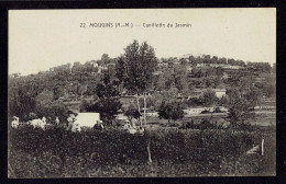 CPA 06 - 22. MOUGINS - CEUILLETTE DU JASMIN - Mougins