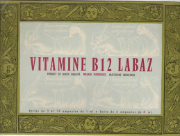 BUVARD VITAMINE B12 LABAZ - Produits Pharmaceutiques