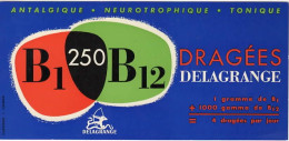BUVARD B1 250 B12  Dragées DELAGRANGE - Produits Pharmaceutiques