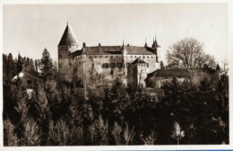 Le Château  Façade Sud - Oron