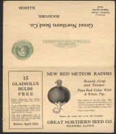 UY7 Postal Card With Reply Rockford IL - Ozone Park NY 1928 ADV RADISH - 1901-20