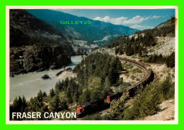 FRASER CANYON, BC -  TRAINS FROM THE CANADIAN NATIONAL ALONG THE FRASER RIVER - MAJESTIC POST CARD - - Sonstige & Ohne Zuordnung