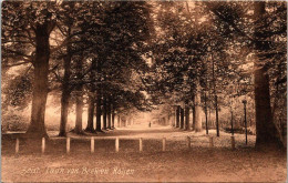 Laan Bij Beek En Roijen, Zeist 1907 (UT) - Zeist