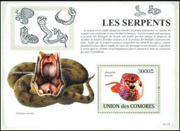 COMORES Reptiles, Reptile, Serpents,Vipère à Cornes Dasypeltis Serpent Serpents Snakes Snake Yvert BF 167** MNH - Serpents