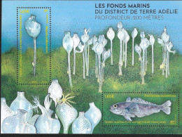 TAAF 2024 - Yv N° F1081 ** - Bloc - Fonds Marins - 200 Mètres (1081) - Unused Stamps