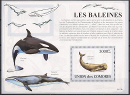 COMORES Baleines, Baleine, Whales, Ballena, Wal. Yvert BF N°165 ** MNH - Wale