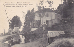Dans Les Vosges - Trianon REMIREMONT M DEMERY Prenant Du Poisson Pour Ses Clients Dans Son étang Construit Par Lui - Remiremont