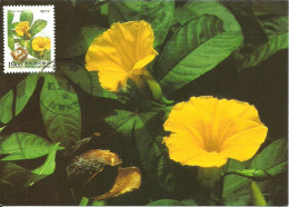 Carte Maximum - Taiwan - Formose - Flores Fleurs - Wood Rose - Merremia Tuberosa - Maximumkaarten