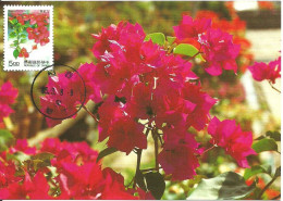 Carte Maximum - Taiwan - Formose - Flores Fleurs - Bougainvillea - Bougainvillea Spectabilis - Maximumkaarten