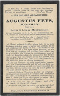 Doodsprentje  *  Feys Augustus  (° Snellegem 1885 / + 1900)  Zoon Petrus Feys & Meulemeester Louisa - Religion & Esotérisme