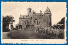 Nessonvaux / Trooz - Le Château - Colonie De De Colomheid - Kasteel - Trooz