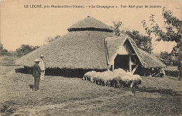 86 - VIENNE - LE LÉCHÉ - Près Montmoriilon "le Champignon", Toit Abri Pour Les Moutons - 10137 - Couhe