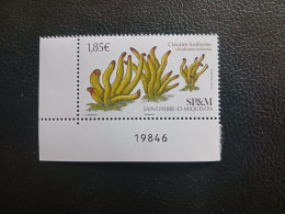 Pierre Miquelon 2023 Mushroom Golden Spindles Clavaire Fusiforme Champignon 1v Mnh CORNER LEFT NUMBER - Unused Stamps
