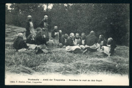 CPA - Carte Postale - Belgique - Westmalle - Abdij Der Trappisten - Broeders In Rust Na Den Oogst (CP24082OK) - Malle