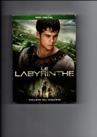 DVD  LE LABYRINTHE - Drame